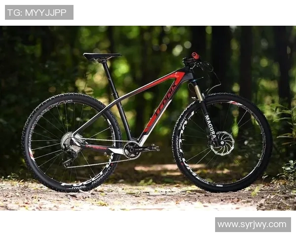 深圳滑板队在极限运动世界杯积分榜上以65分稳居第一名