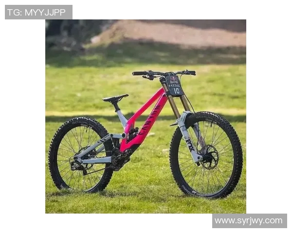 深圳极限运动队荣登灵活性排行榜第三名引发关注与讨论 深圳极限运动队荣登灵活性排行榜第三名引发关注与讨论