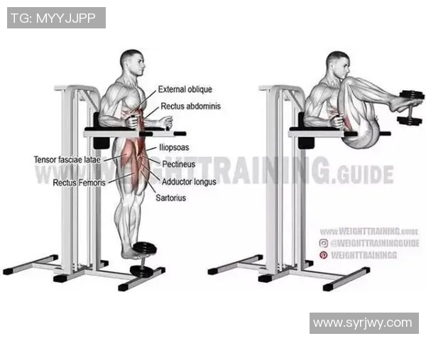炼腰健身器材种类及锻炼效果全面分析 炼腰健身器材种类及锻炼效果全面分析